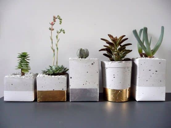 Kaktus Terrarium Beton Deko Zement Blumentopf Gold Silber